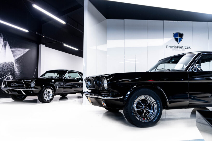 powłoka mustang